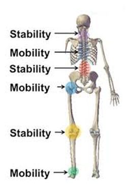 Using The "Joint-by-Joint" Model To Help Yourself